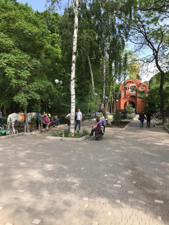 Park 411 אורחן *